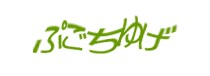 Authentication image
